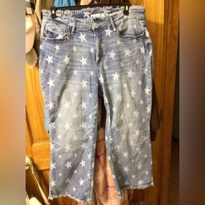 Judy Blue Stars Wide Leg Cropped Jeans 18w